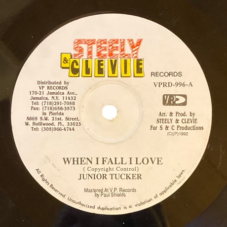 WHEN I FALL IN LOVE / JUNIOR TUCKER (12インチレコード)