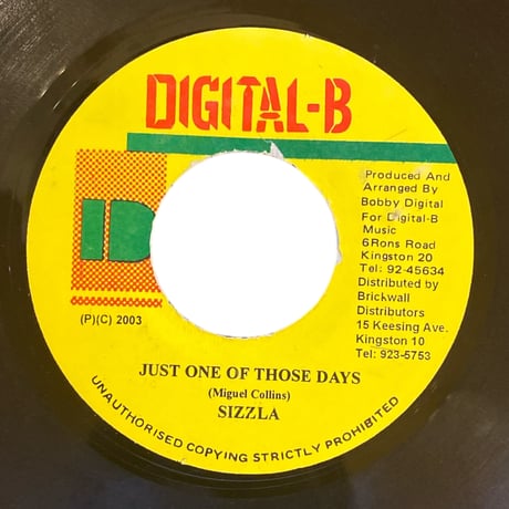 JUST ONE OF THOSE DAYS / SIZZLA (7インチレコード)