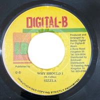 WHY SHOULD I / SIZZLA (7インチレコード)