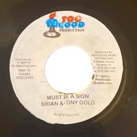 普通の日々 / USUALLY DUB / なかの綾 (7インチレコード) | レゲエと