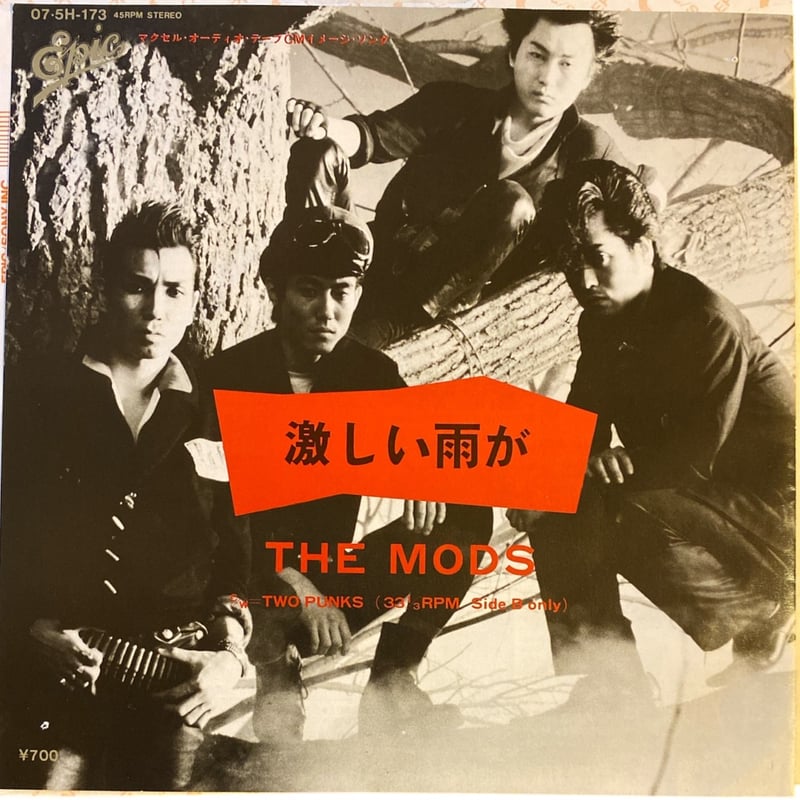 激しい雨が / TWO PUNKS / THE MODS (7インチレコード) | レゲエとジ