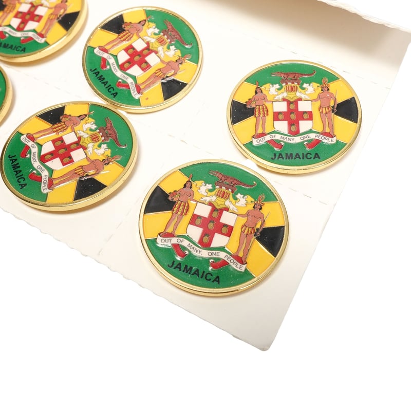 激レア　マグマの笛 激レア マグマの笛