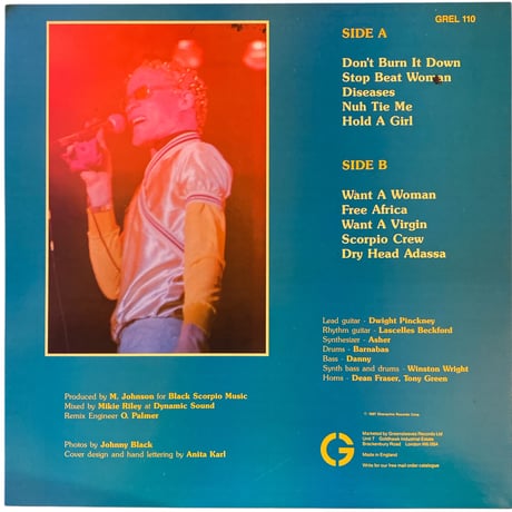 DON'T BURN IT DOWN / YELLOW MAN (LPレコード)