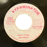 HOW U LIVING / INI KAMOZE (7インチレコード)