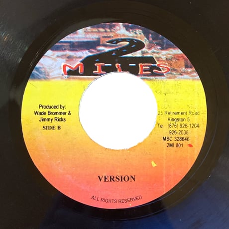 NO GUNS TO TOWN / NATTY KING (7インチレコード)