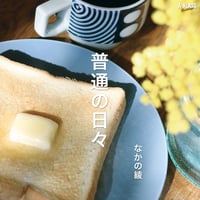 普通の日々 / USUALLY DUB / なかの綾 (7インチレコード)
