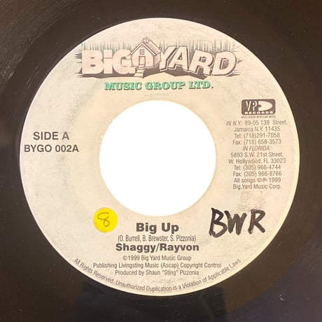 BIG UP / SHAGGY & RAYVON (7インチレコード)