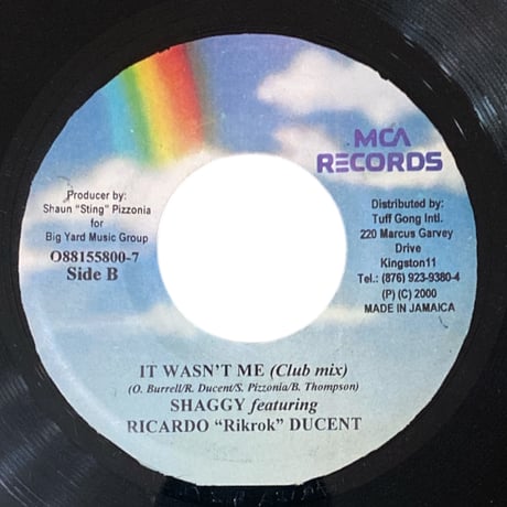 IT WASN'T ME / SHAGGY ft.RICARDO "RIKROK" DUCENT (7インチレコード)