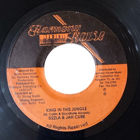KING IN THIS JUNGLE / SIZZLA & JAH CURE (7インチレコード)
