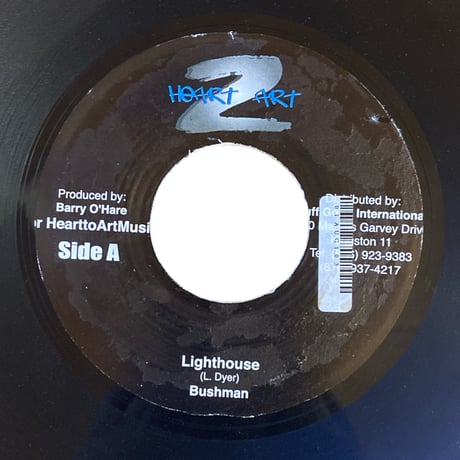 CATEGORY ・OGA'S RECORD | レゲエとジャマイカグッズ！TURTLE MA