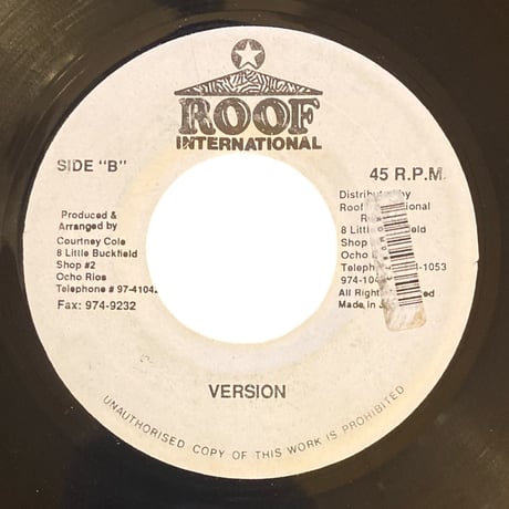 NOTHING CAN DEVIDE US / GARNET SILK (7インチレコード)