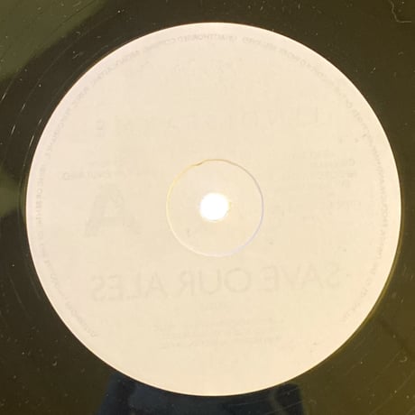 YOUNG GAL BUSINESS / CHAKA DEMUS (12インチレコード)