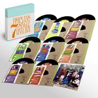 KARAMUSHI 7インチ　レコード KARAMUSHI / ニホンミツバチの歌 (7インチレコード) | レゲエと