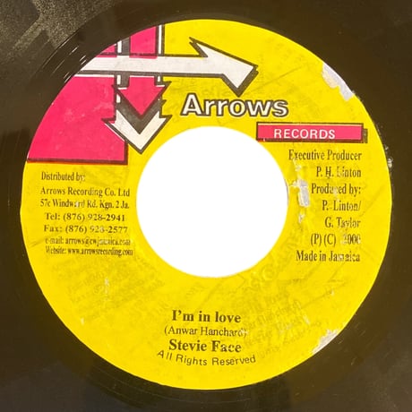 I'M IN LOVE / STEVIE FACE (7インチレコード)