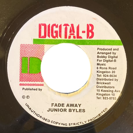 LONG-LONG TIME / JAH MALI (7インチレコード)