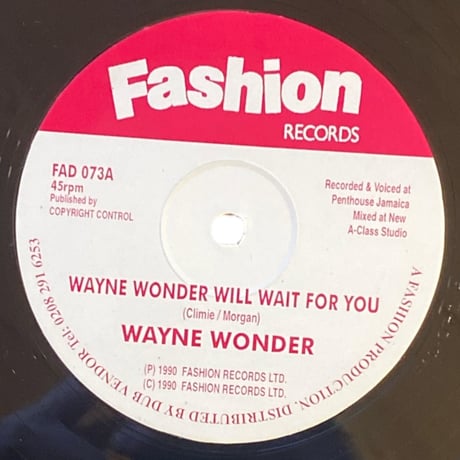 WAYNE WONDER WILL WAIT FOR YOU / WAYNE WONDER (12インチレコード)