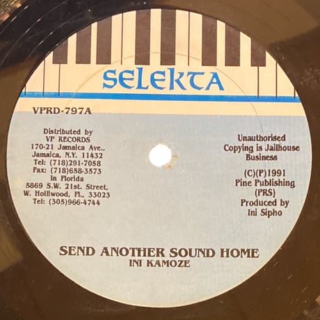 SEND ANOTHER SOUND HOME / INI KAMOZE (12インチレコード)