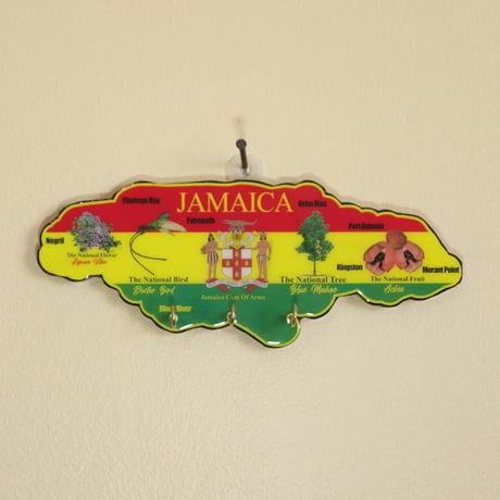 CATEGORY ・ハンドメイド 木彫り | レゲエとジャマイカグッズ！TURTLE