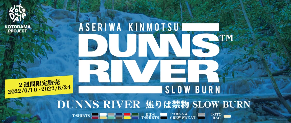Pon De Wave / Dunns River どんずりばー LP レコード LP | LION MUSIC DEN