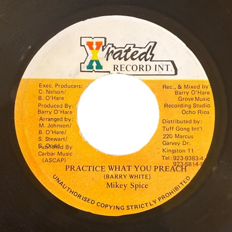 PRACTICE WHAT YOU PREACH / MIKEY SPICE (7インチレコード)