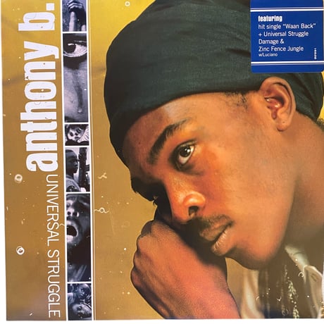 UNIVERSAL STRUGGLE / ANTHONY B (LPレコード)