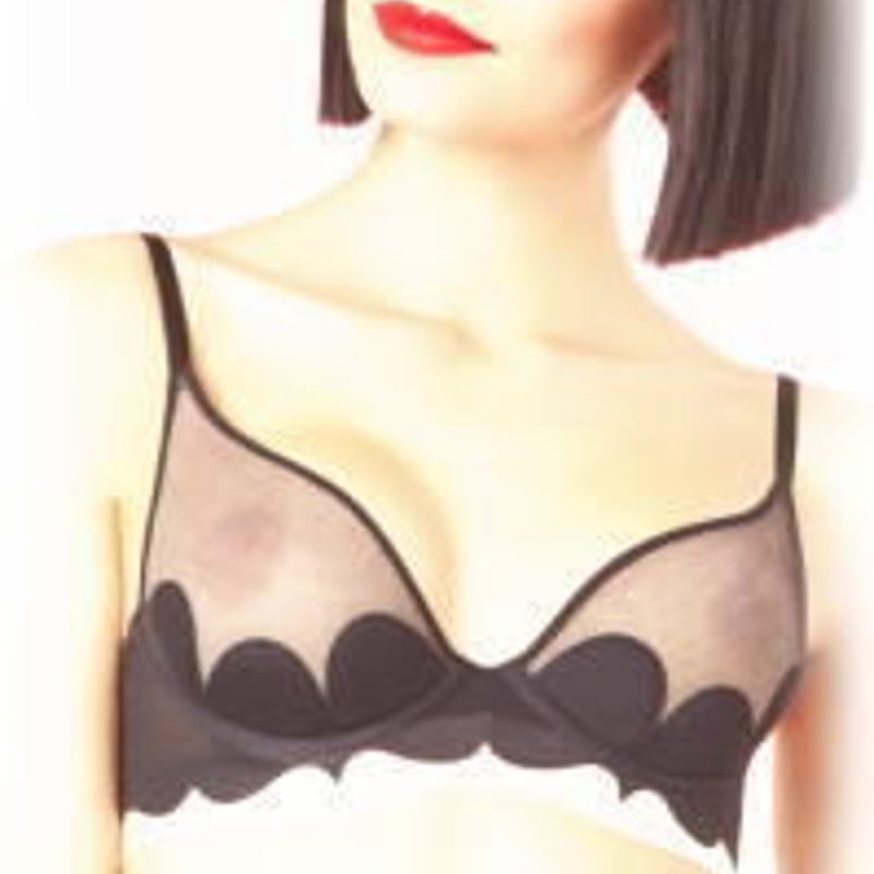 Chantal Thomass ランジェリー D70/Mサイズ Chantal Thomass ランジェリー D70/Mサイズ