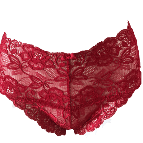Linge de H  総レースショーツ　〈Ｌサイズ〉
