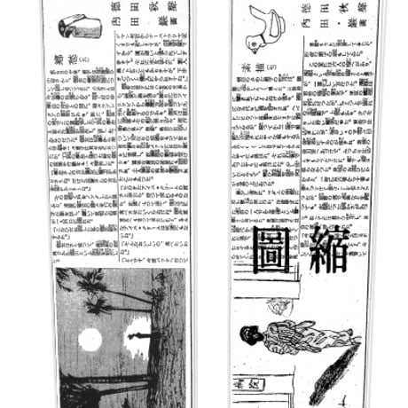 徳田秋聲コラボタイツ　『縮図』　白