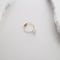 Herkimer CLAN ONE EARRING