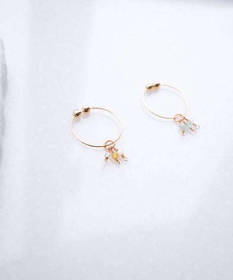 Bis earring