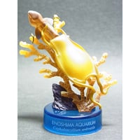 新江ノ島水族館への誘い２　06.ナヌカザメ