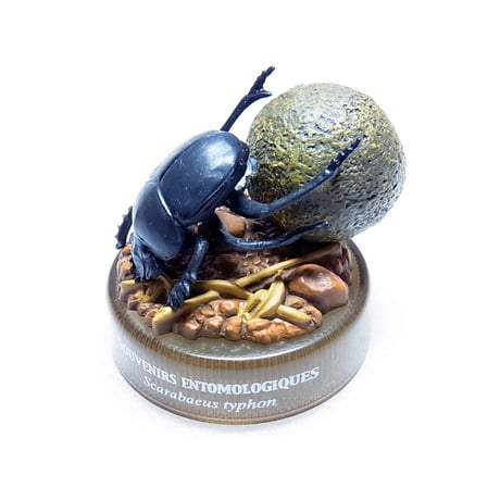ファーブル昆虫記　01.聖なる昆虫ヒジリタマオシコガネ
