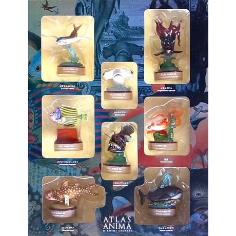 世界博物画立体図鑑Ⅰ コレクションボックス（全8種）【中身未開封品】