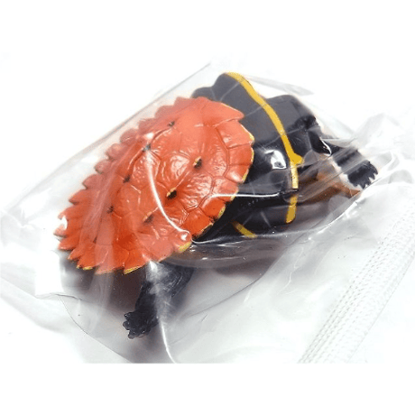 BE-PAL No250特別付録 リュウキュウヤマガメ立体模型