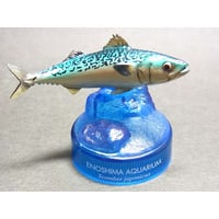 新江ノ島水族館への誘い２　02.マサバ