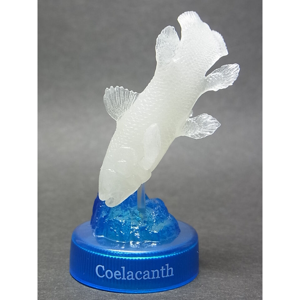 ポケ玩ランドvol.2 ボトルキャップ道 誌上限定版：シーラカンス