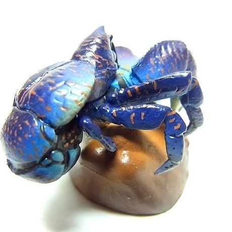 沖縄物産展　13.ヤシガニ
