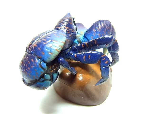 沖縄物産展 13.ヤシガニ | トイズ・スタイル