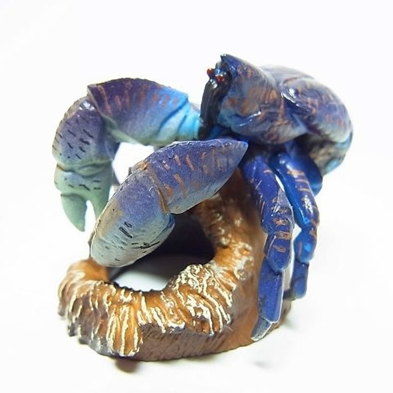 沖縄物産展 13.ヤシガニ | トイズ・スタイル