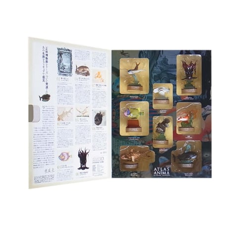 世界博物画立体図鑑Ⅰ コレクションボックス（全8種）【中身未開封品】