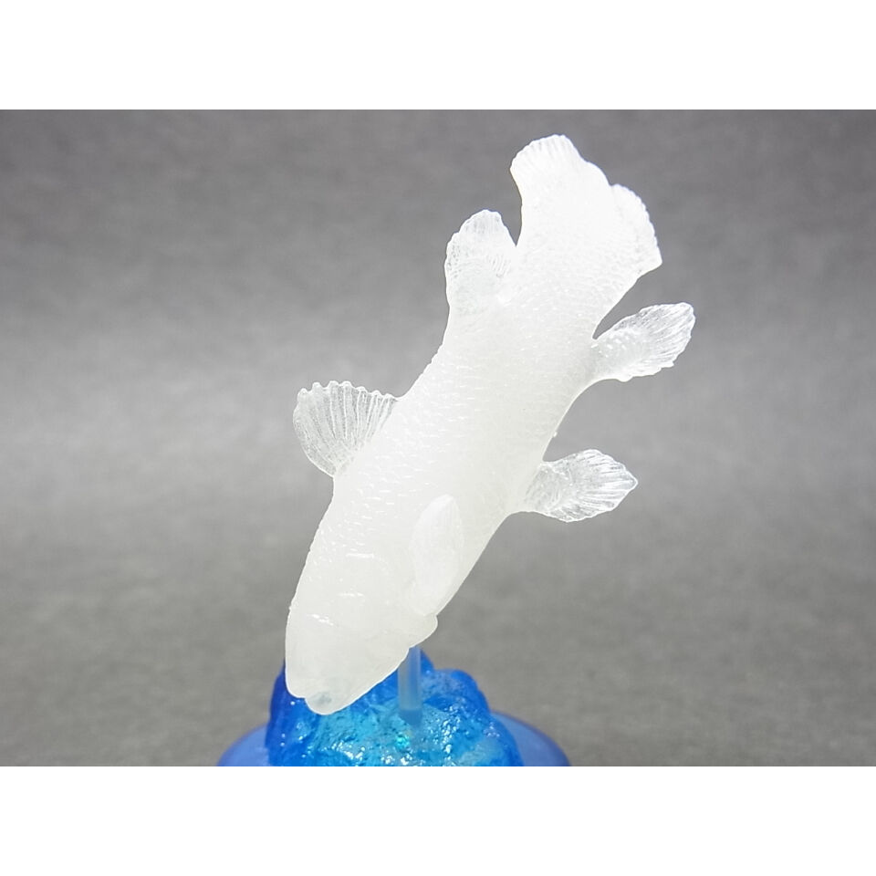 ポケ玩ランドvol.2 ボトルキャップ道 誌上限定版：シーラカンス蓄光版