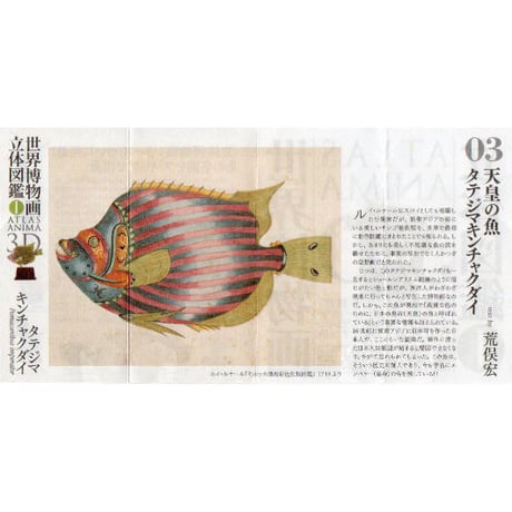 世界博物画立体図鑑Ⅰ コレクションボックス（全8種）【中身未開封品】