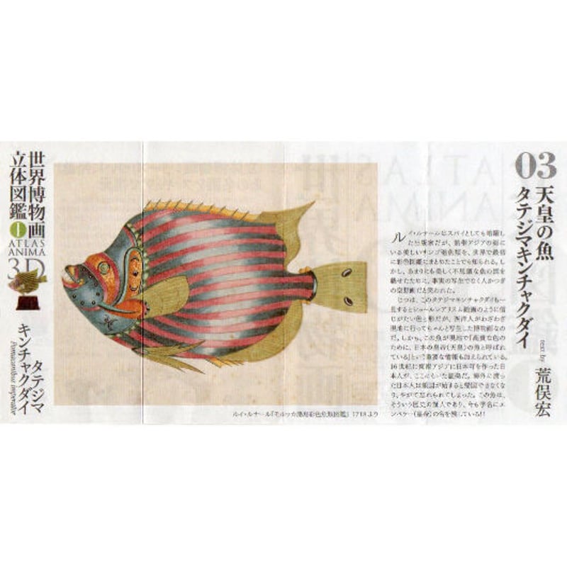 世界博物画立体図鑑Ⅰ コレクションボックス（全8種）【中身未