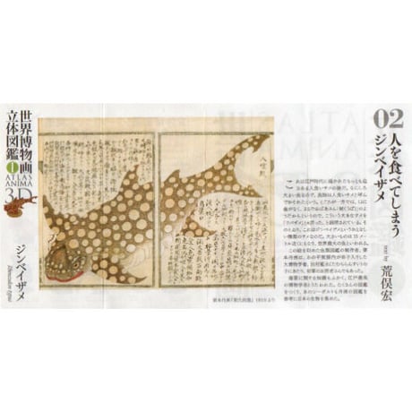世界博物画立体図鑑Ⅰ コレクションボックス（全8種）【中身未開封品】