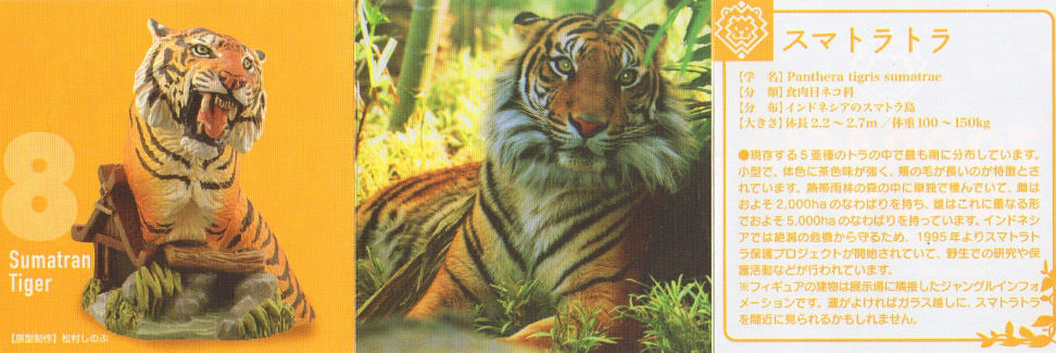 記念メダル　ズーラシア　スマトラトラ スマトラトラ | 東山動植物園 飼育第一グループ 鬼頭 美姫さん