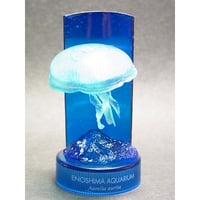 新江ノ島水族館への誘い２　09.ミズクラゲ