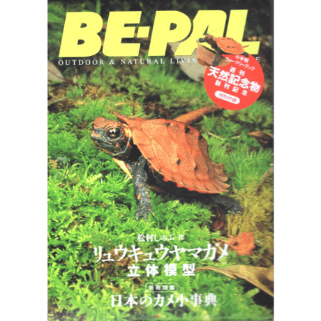 BE-PAL No250特別付録 リュウキュウヤマガメ立体模型
