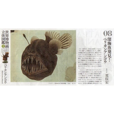 世界博物画立体図鑑Ⅰ コレクションボックス（全8種）【中身未開封品】