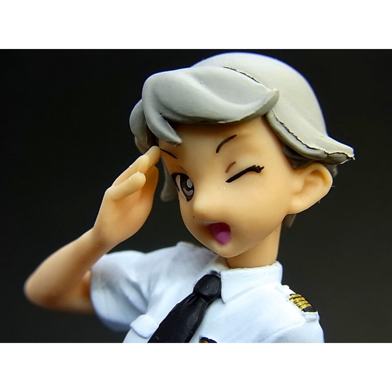 ANAユニフォームコレクション 2 コンプリート Amazon.co.jp: 海洋堂ANA ユニフォームコレクション2 : おもちゃ