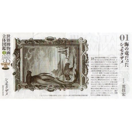 世界博物画立体図鑑Ⅰ コレクションボックス（全8種）【中身未開封品】
